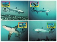 01-MC02- Tokelau-WWF,2002,Fauna oceaniczna