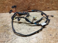 Wiązka Instalacja Drzwi Lewe Renault Magnum DXi 5010624055