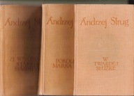 W twardej służbie,Pokolenie Marka Swidry,Ze wspomnien starego sympatykStrug