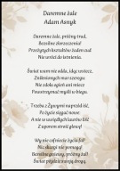 A2 OBRAZ PLAKAT POEZJA LIRYKA PLAKAT WIERSZ ADAM ASNYK DAREMNE ŻALE