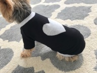 UBRANKO bluza DLA PSA TYPU YORK chihuahua XS S