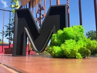 DIY zrób to sam! Ramka w Kształcie Litery A-Z z Chrobotkiem.