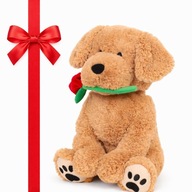 MIŚ Z RÓŻĄ PREZENT NA WALENTYNKI MIŚ PLUSZOWY RÓŻA MASKOTKA PLUSZAK PIES