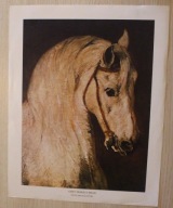 GREY HORSE 'S HEAD - PIOTR MICHAŁOWSKI