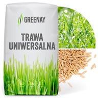 TRAWA UNIWERSALNA SAMOZAGĘSZCZAJĄCA ODPORNA NA DEPTANIE GREENAY 10KG 500M