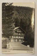 MIĘDZYGÓRZE - Paweł, Fot. - M. Scolina