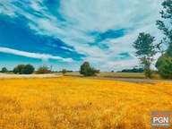 Działka, Płoty, Płoty, Gryficki, 2711 m²