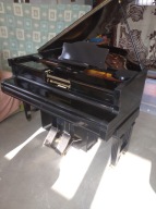 Fortepian z pianistą lub bez sam gra pianola USA ,, Kolekcjonerski " samo