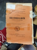 Leon Kozłowski Badania archeologiczne na górze Klin w Iwanowicach 1917