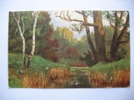 ZAGINIONY ŚWIAT DZIKIE KACZKI NA STAWIE MYŚLISTWO przedwojenna POCZTÓWKA