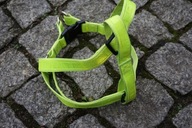 ODBLASKOWE SZELKI DLA PSA DENMARK r.L danish design