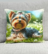 Poduszka 40/40cm Yorkshire Terrier, York Yorkuś