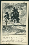 Otto Ubbelohde - Einsame Fichten - Heyder 1928