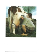 Karnet - Dojarka przy krowie, na zydelku ...