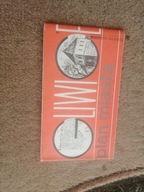 Gliwice stary plan miasta autobusy tramwaje