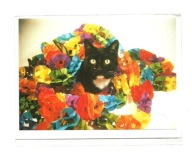 Pocztówka - Czarno-biała kotka w girlandach / urodzinowy kot / OPIS !!!