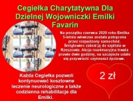 Cegiełka Charytatywna Dla Dzielnej Wojowniczki 2 zł Emilki Favarin