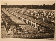 PALMIRY - Cmentarz ofiar hitleryzmu, CZYSTA