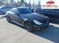 Mercedes-Benz SLK 55 Amg 2007 5.5 Benzyna 355KM