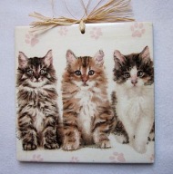 Robótkownia Obrazek kafelek 15x15 Kot koty Kociaki trzy