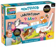 NAUKA Pisania ZABAWKA GRA Montessori Laboratorium IDEALNA DLA NAJMŁODSZYCH