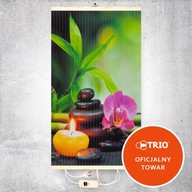 Grzejnik ścienny (Grzejący obraz) Harmonia z regulatorem