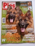 Przyjaciel Pies nr 10 2011 Owczarek niemiecki + plakaty Basenji i Norfolk