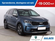 Kia Sorento 1.6 T-GDI HEV, Salon Polska