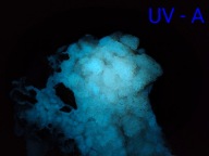 Kalcyt - Złote Kryształy - Mocna Fluorescencja i Fosforescencja | Polska