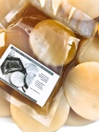 GRZYBEK SCOBY HERBACIANY KOMBUCHA 7cm STARTER 200ml+ ULOTKA+ EBOOK+ GRATISY
