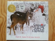 Stranger in the woods