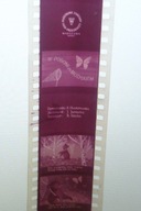 Bajka na rzutnik W Pogoni za Motylkiem PZFP