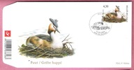 Belgia 2006, FDC st.Neuwpoort, ptaki perkoz dwuczuby, nominał 4,30 €