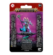 Warhammer Age of Sigmar Tzaangor Shaman Disciples of Tzeentch ramki