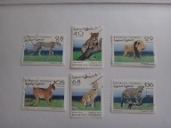 Sahara 1997, Dzikie koty, zwierzęta, ssaki, fauna