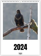 Kalendarz 2024 Ptaki Ssaki A3