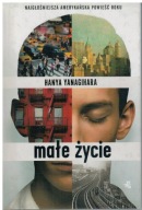 Hanya Yanagihara - Małe życie twarda
