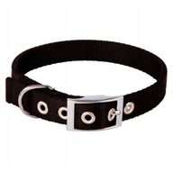 Obroża dla psa materiałowa Dingo podwójnie szyta XS (28-36 cm) WYPRZEDAŻ !!