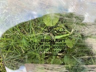 Szyba drzwi Ford Mondeo mk3 prawy przod 2005 05 PP