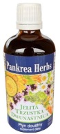 Jelita Trzustka Dwunastnica 100ml Pankrea Herbs Ziołowy