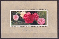 1979 Chiny Uprawa kamelii w prowicji Yunnan Mi blok 20 **