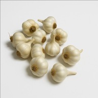 Czosnek polski Jarus jary od producenta 10 główek, bez chemii, naturalny