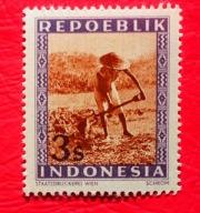 Indonezja 1949 rolnictwo czyste**