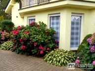 Dom, Pobierowo, Rewal, Gryficki, 400 m²