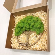 Drzewko Szczęścia Chrobotek, oryginalny prezent na każdą okazję