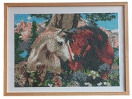 Obraz ręcznie zrobiony haftem diamentowym konie koniki przyroda