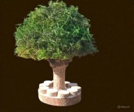 Bonsai, drzewko szczęścia, 1 szt , dekoracja
