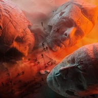 Will Of The People Muse Winyl z autografami członków zespolu