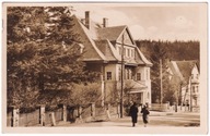 Karpacz Pensjonaty przy drodze do Bierutowic ok.1950r.