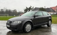 Audi A3 3-drzwiowe Audi A3 3-drzwiowe 1.6 Benzyna 102KM